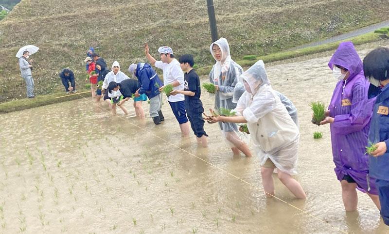 吉敷地区の田植えを体験する 山口県立大学の留学生