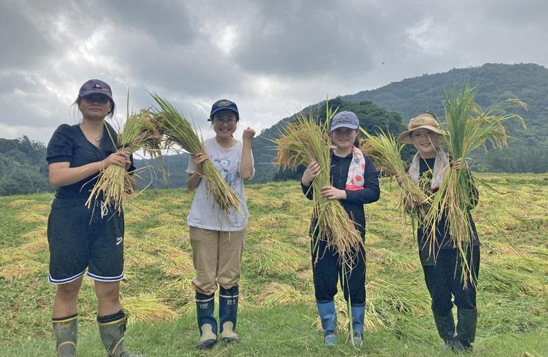 吉敷地区の稲刈りを体験する 山口県立大学の留学生
