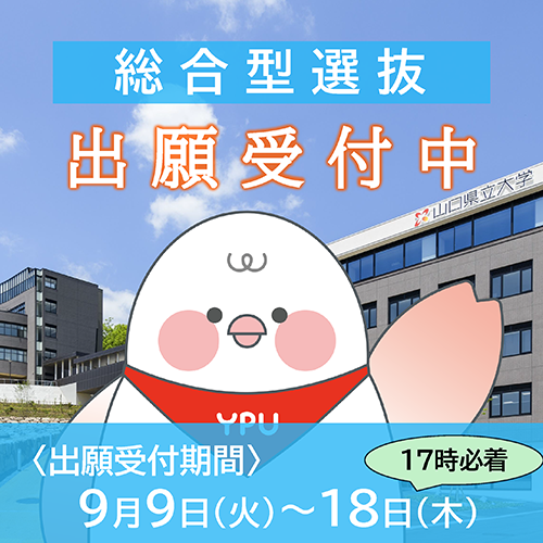 総合型選抜バナー