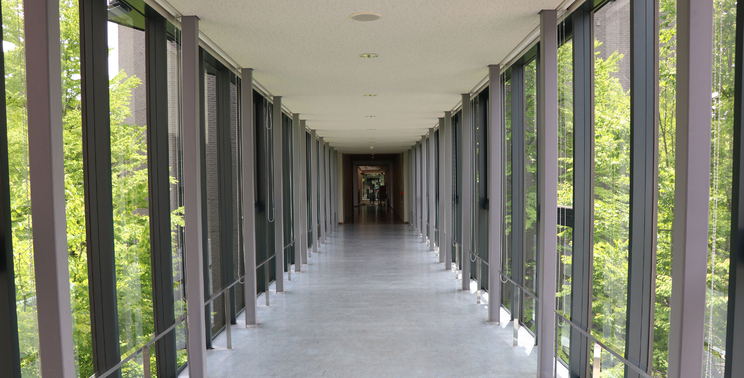 メインイメージ