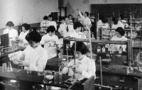 山口女子短期大学を設置