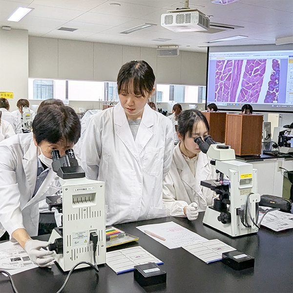 栄養学科で取得可能な資格