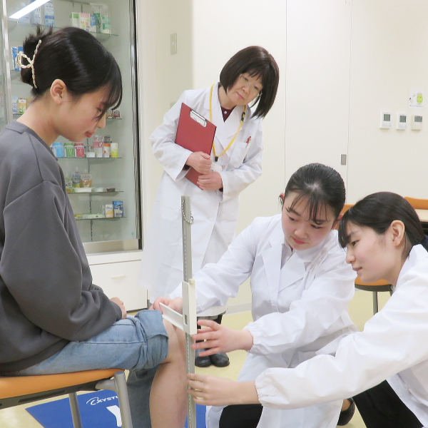 栄養学科の教員紹介
