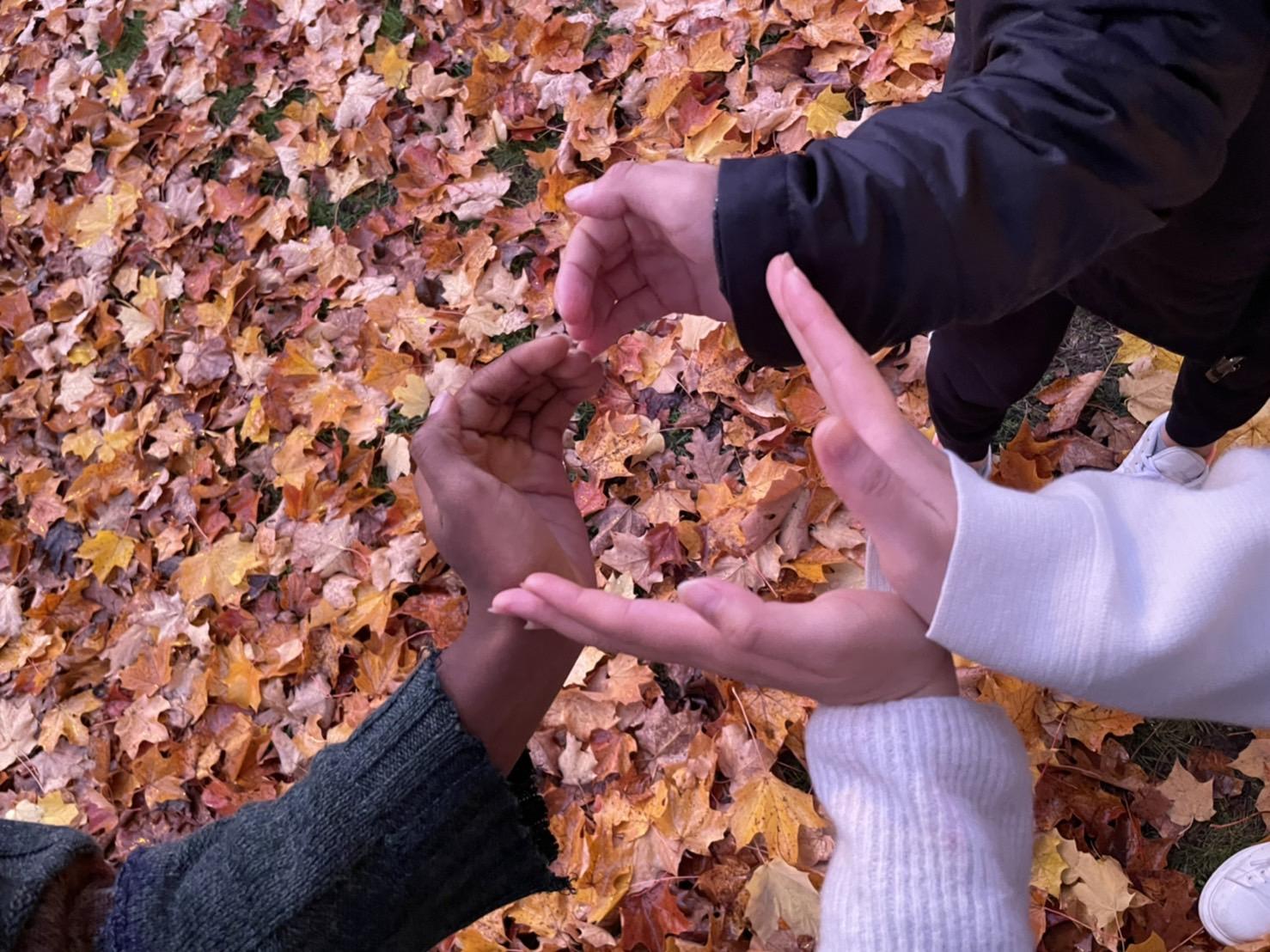 紅葉の写真