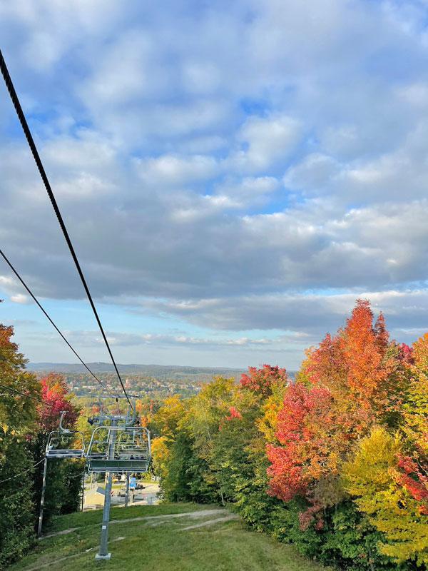 紅葉の景色