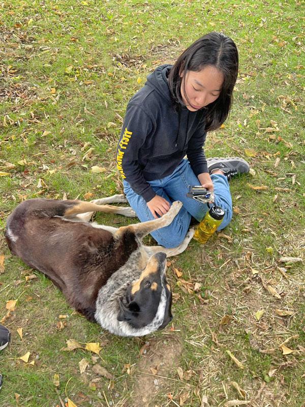 大学近くで出会った犬