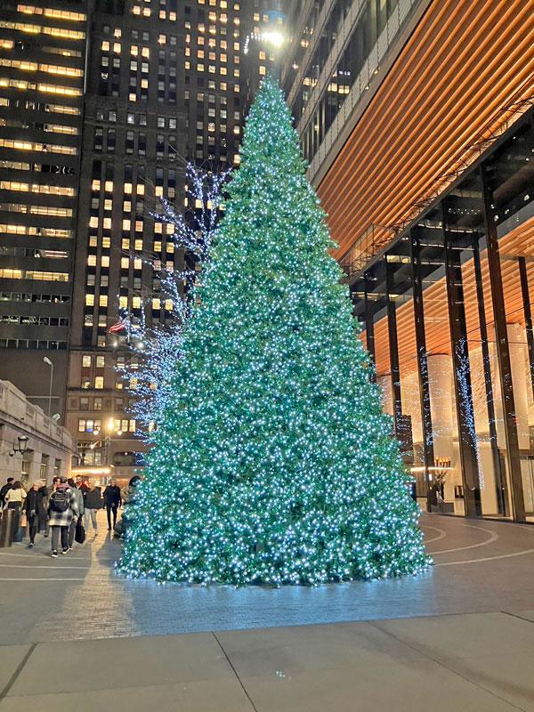 グランドセントラル駅近くにあったクリスマスツリー