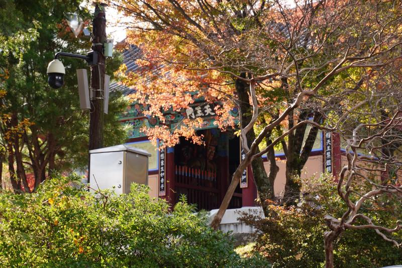 범어사(梵魚寺)の写真2