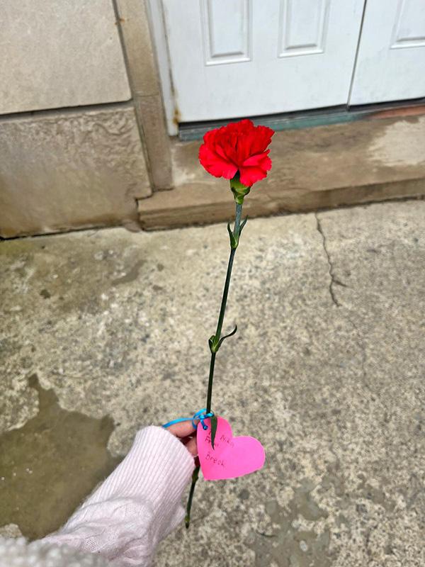 友人がバレンタインにくれたバラ