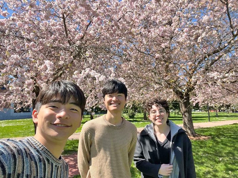 山口公園の桜 con alba