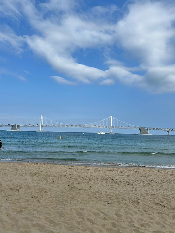 海で撮った写真2