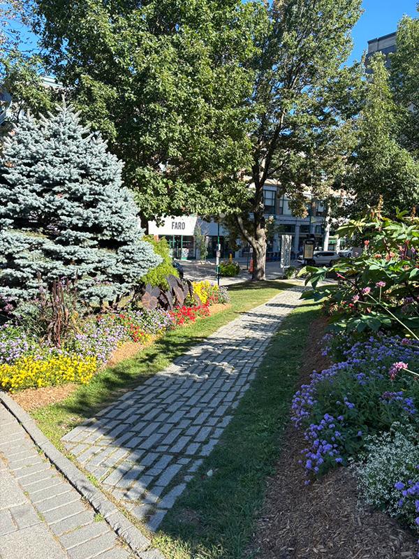 町にある公園でピクニック