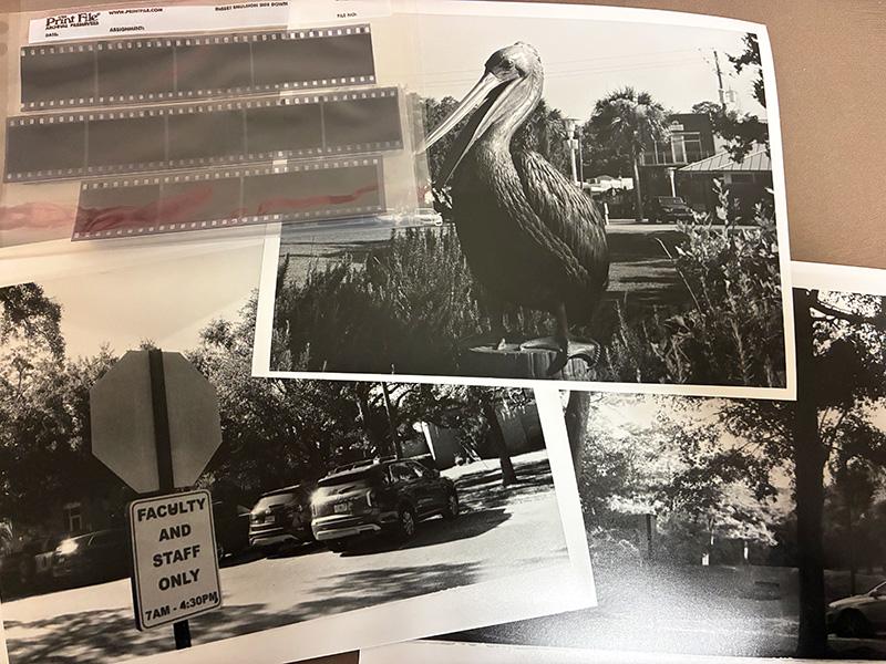 写真の授業での作品