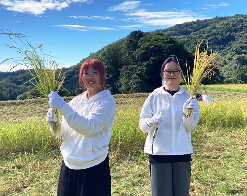 日本の文化と人々に触れて2