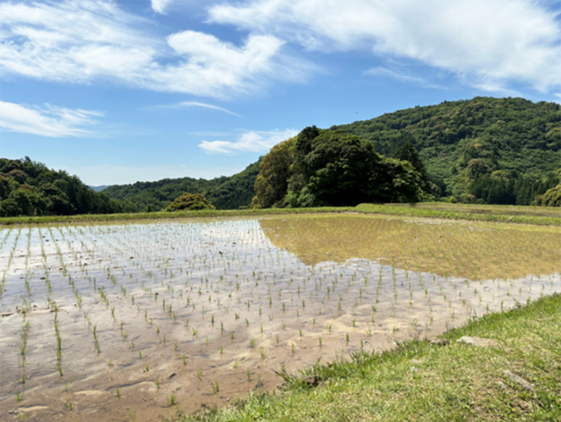 日本での学びと出会いを振り返って2