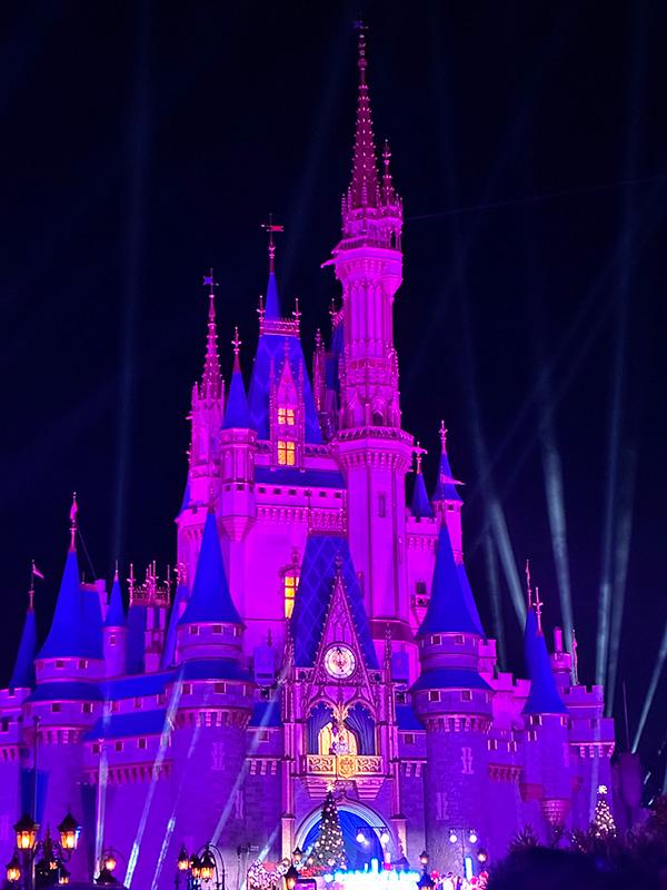 ウォルトディズニーワールドリゾート1