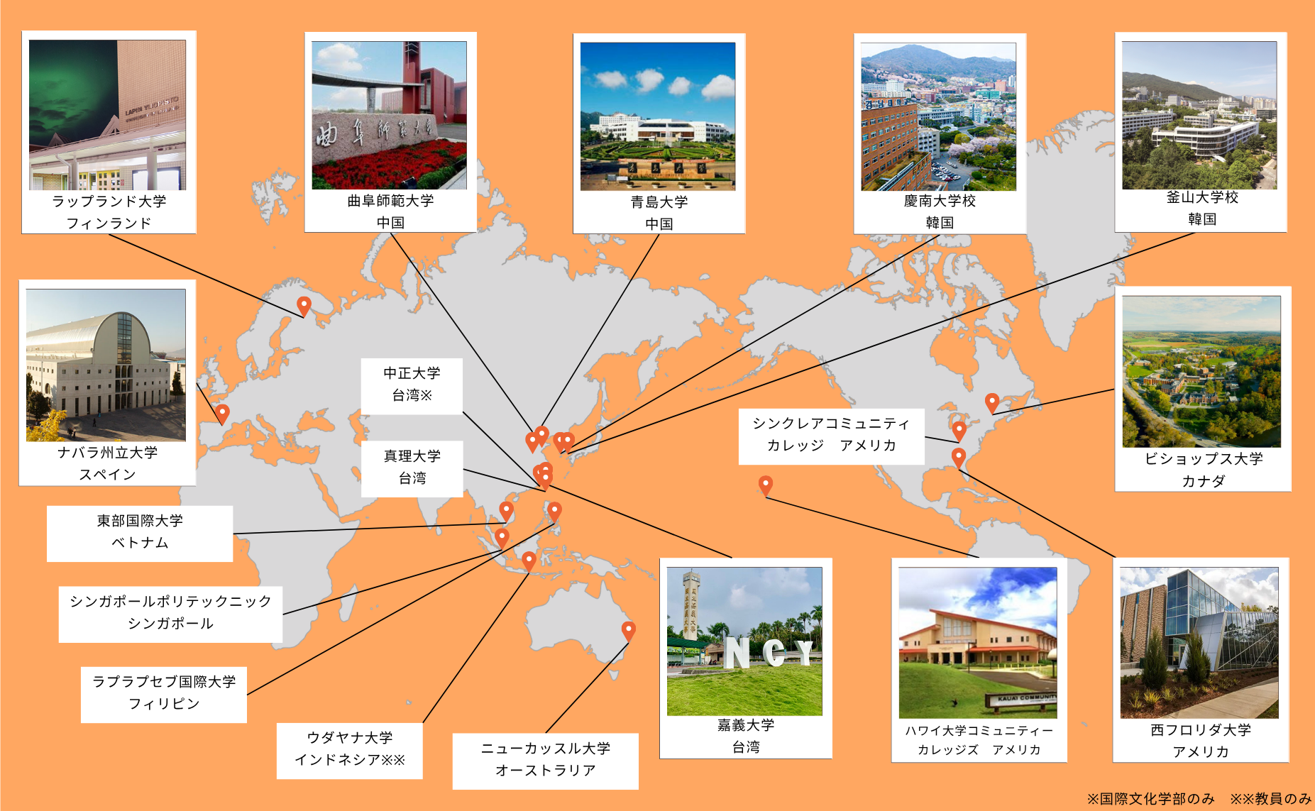 交流大学